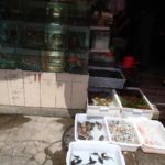 Les animaleries chinoises