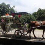 Une calèche qui ne faisait que 500m