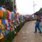 Le Temple aux cent poulets