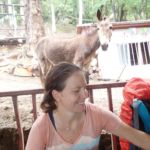 Un âne qui surveille que la pause ne soit pas trop longue!